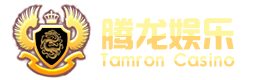 腾龙公司官网